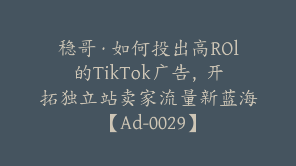 稳哥·如何投出高ROl的TikTok广告,开拓独立站卖家流量新蓝海【Ad-0029】