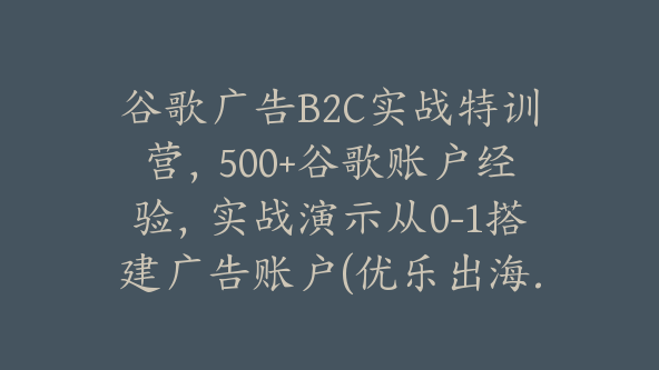 谷歌广告B2C实战特训营,500+谷歌账户经验,实战演示从0-1搭建广告账户(优乐出海.Yuan)【Ab-0055】