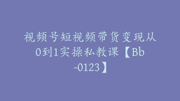 视频号短视频带货变现从0到1实操私教课【Bb-0123】