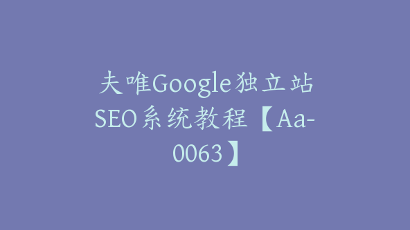 夫唯Google独立站SEO系统教程【Aa-0063】