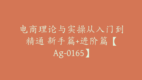 电商理论与实操从入门到精通 新手篇+进阶篇【Ag-0165】