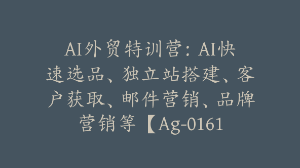 AI外贸特训营：AI快速选品、独立站搭建、客户获取、邮件营销、品牌营销等【Ag-0161】