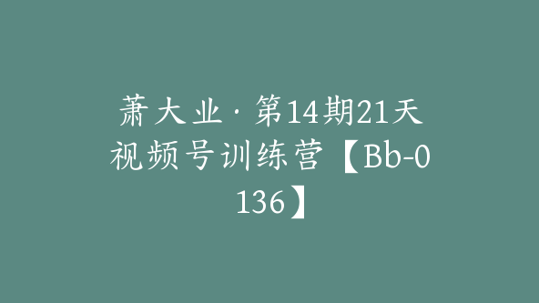萧大业·第14期21天视频号训练营【Bb-0136】